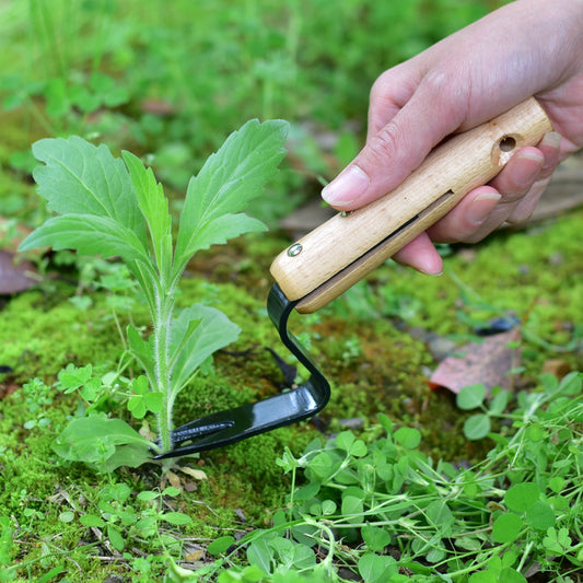 HandyCraft™  Weeding And Seedling Un-Rooting Tool